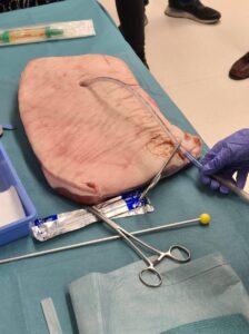 WhatsApp Image 2024-03-14 at 18.03.13 (1)